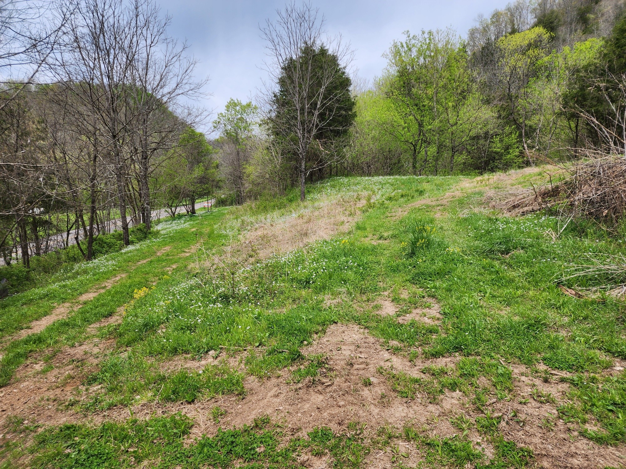 2667 Sycamore Valley Rd