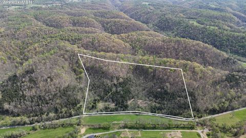 2667 Sycamore Valley Rd Pleasant Shade TN 37145