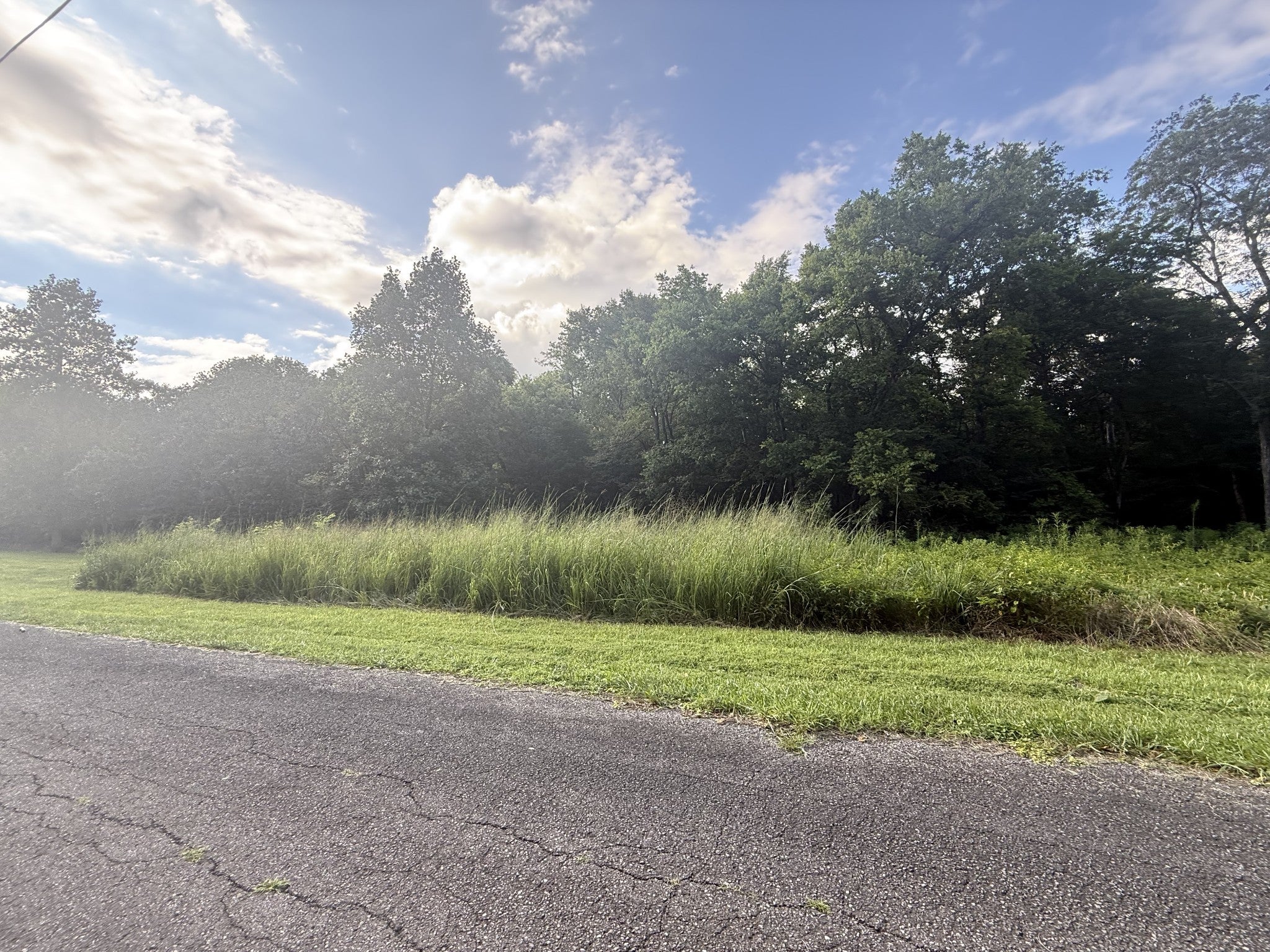 0 Willow Hollow Rd