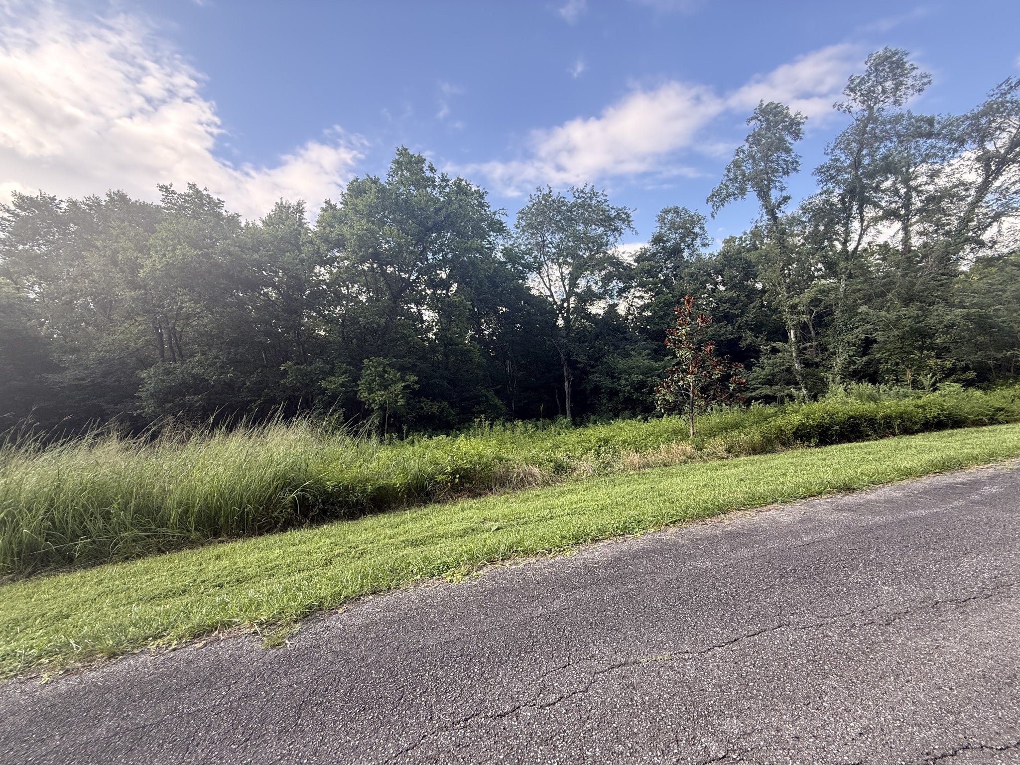 0 Willow Hollow Rd