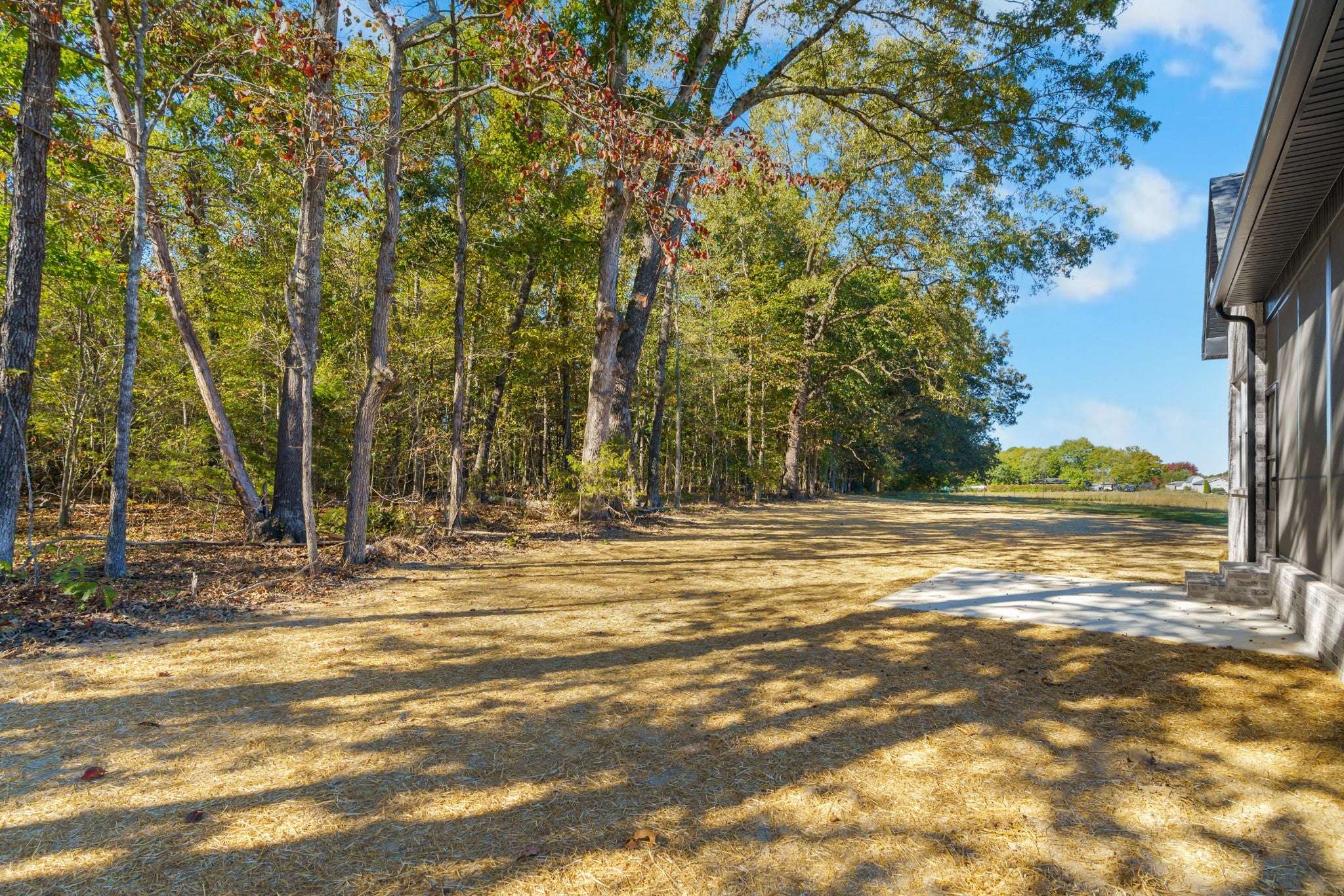 121 Settlers Trace