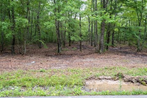 0 Pepper Rd Taft TN 38488