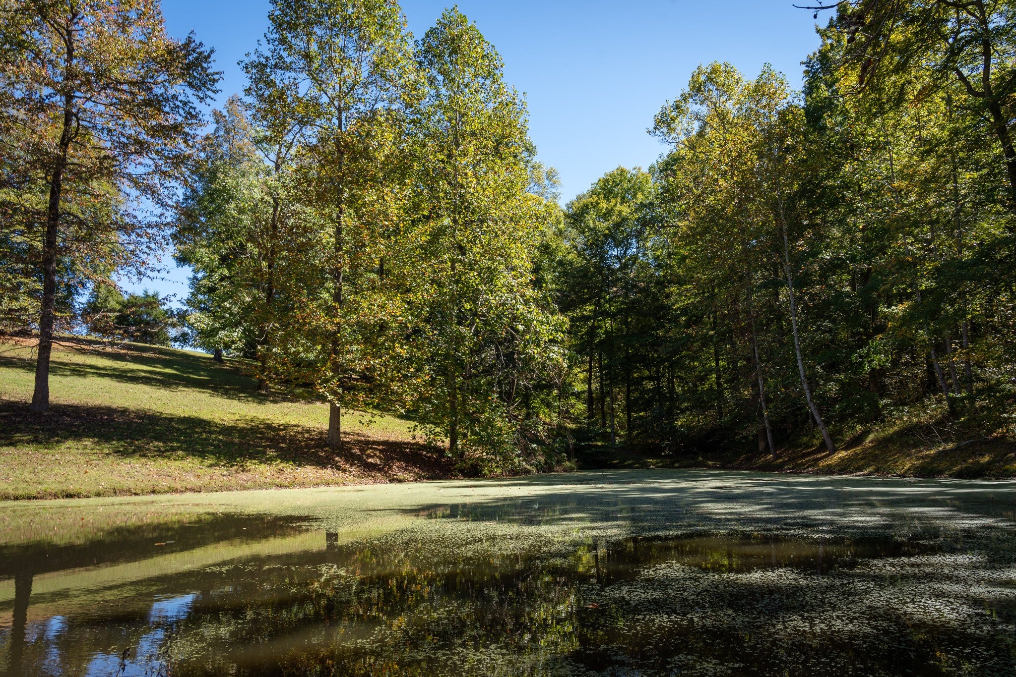Search Listings 1 4325 Cave Springs Rd