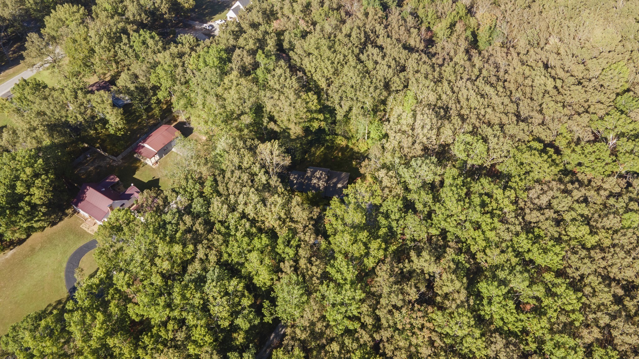 954 Belmont Rd