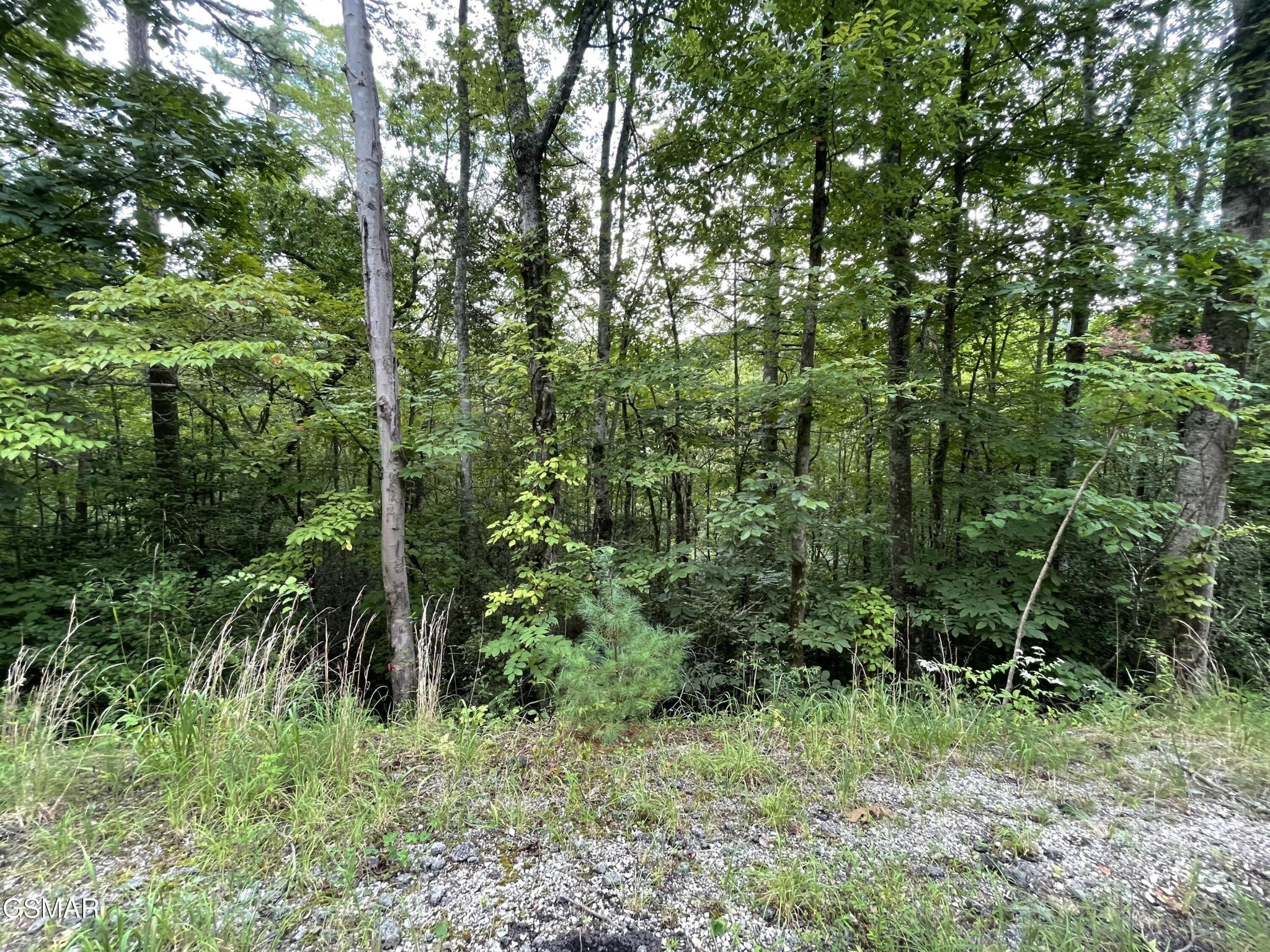 5 Stepping Stone Drive