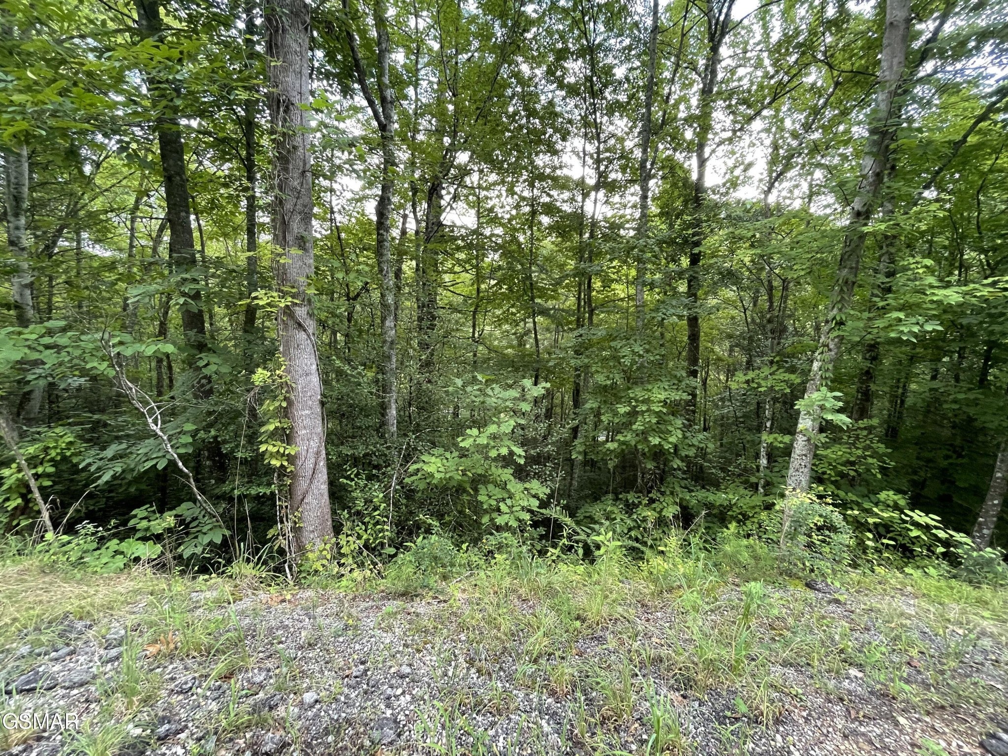 5 Stepping Stone Drive