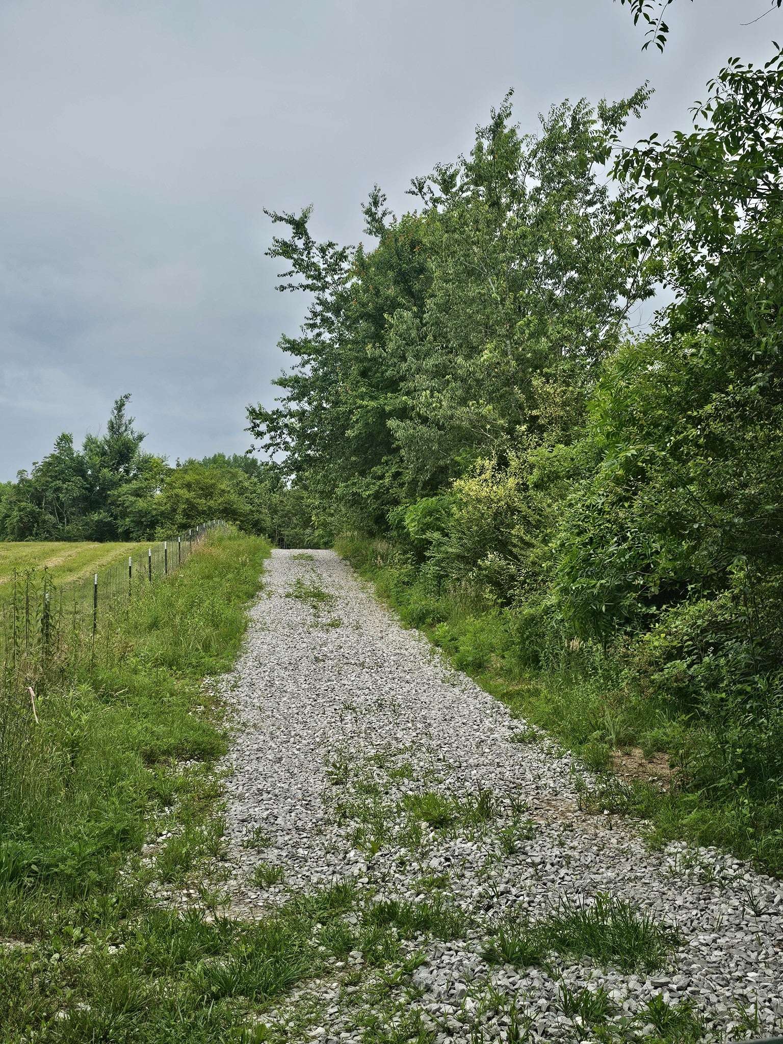 229 Windstone Drive