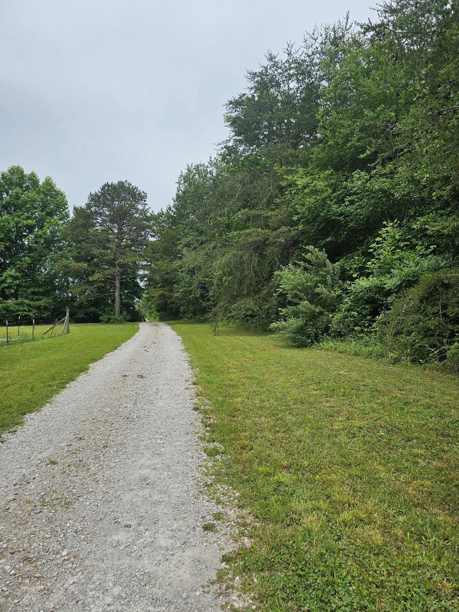 229 Windstone Drive