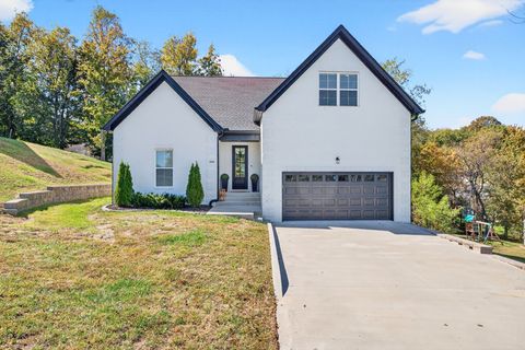 486 David Ave Lewisburg TN 37091