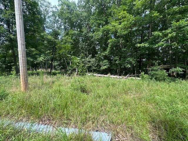 64 Blackwood Dr