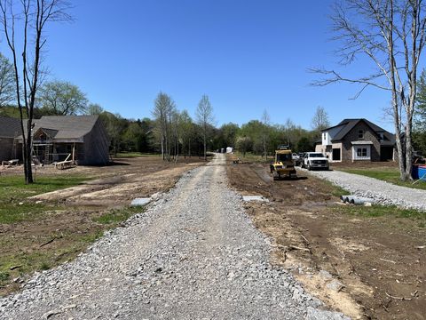 410A Harsh Lane Castalian Springs TN 37031