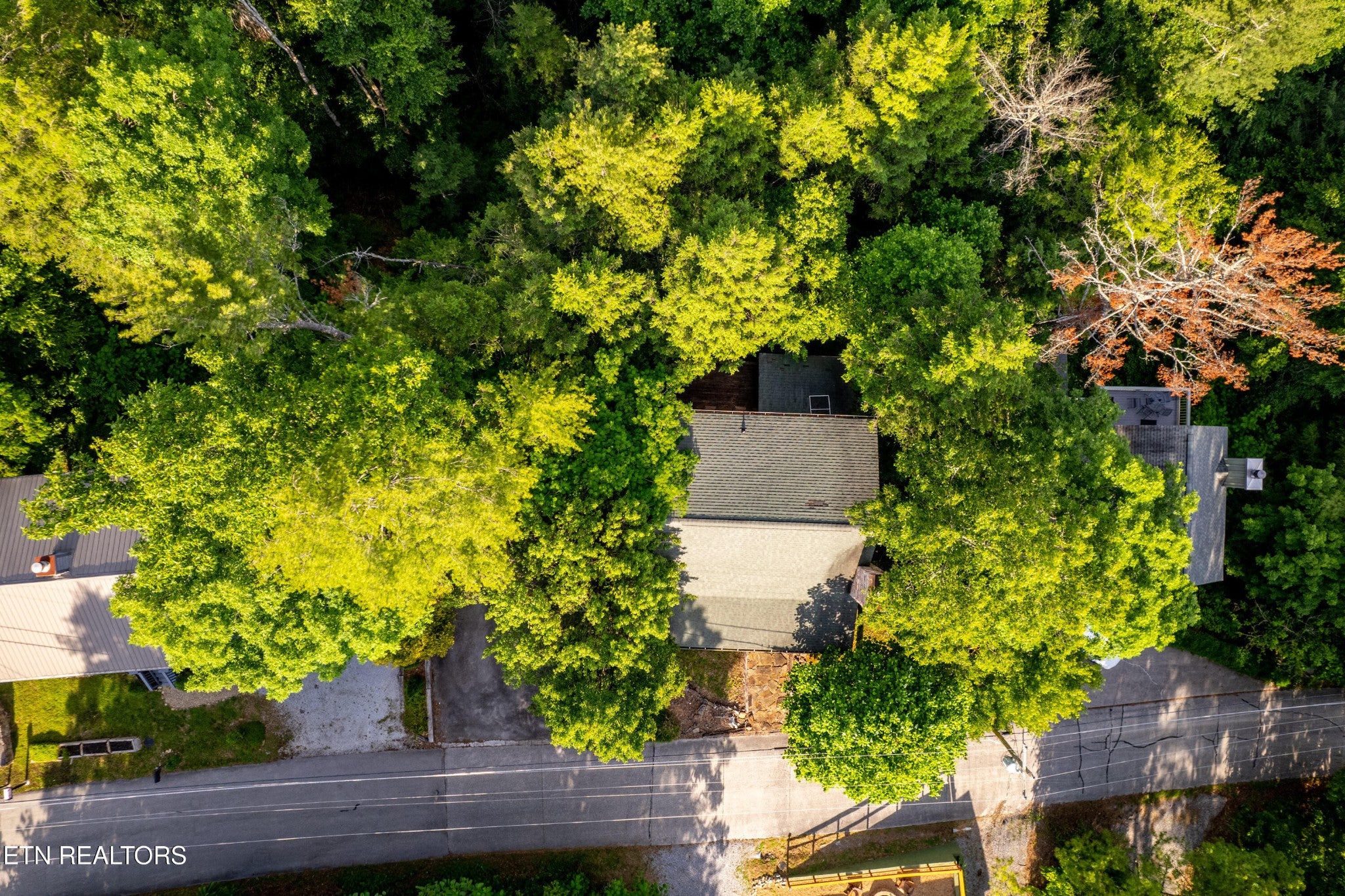 124 Cutter Gap Rd