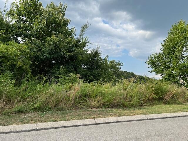 21362124 Short Leaf Lane