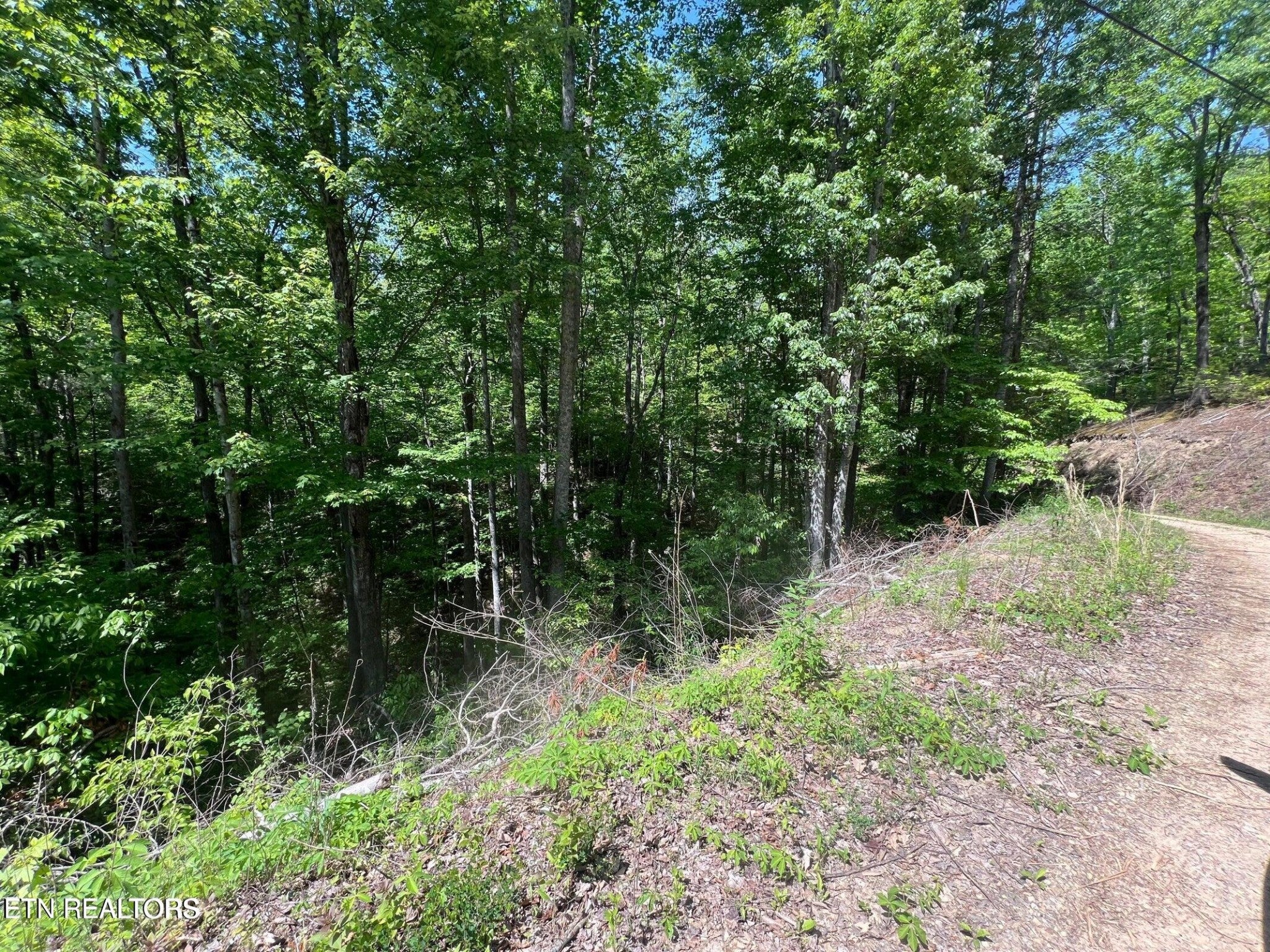 26 Black Oak Pl