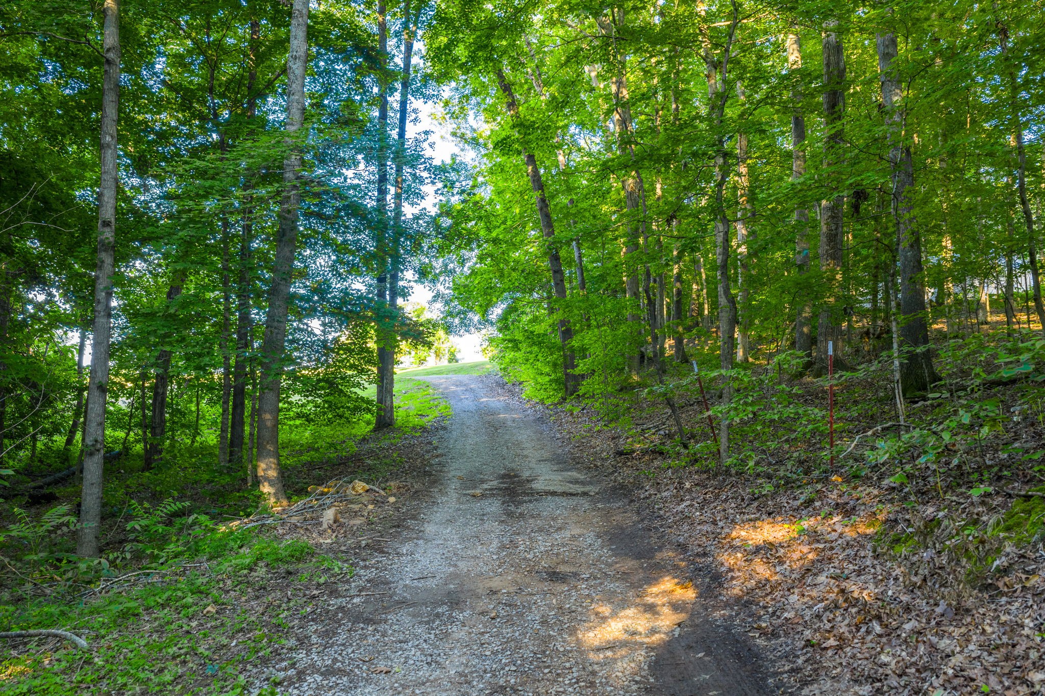 3275 York Landing Road