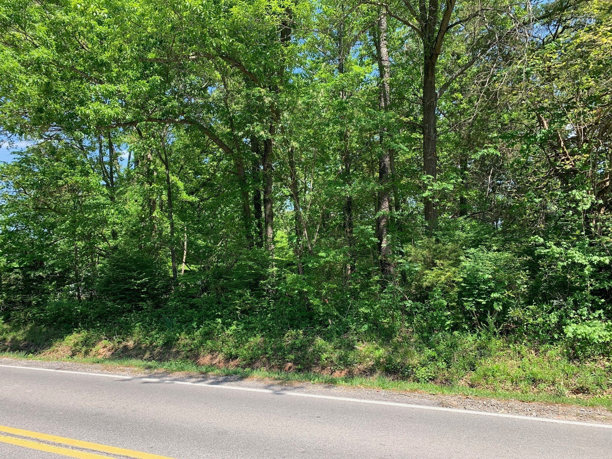 0 Dotsonville Road