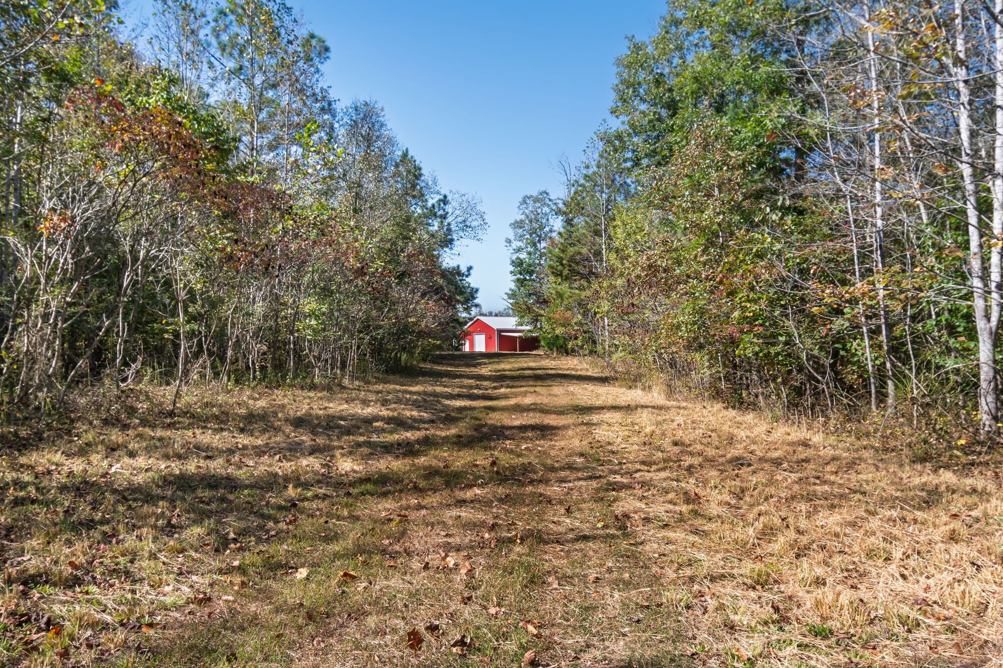 1036 Mason Bates Bend Rd