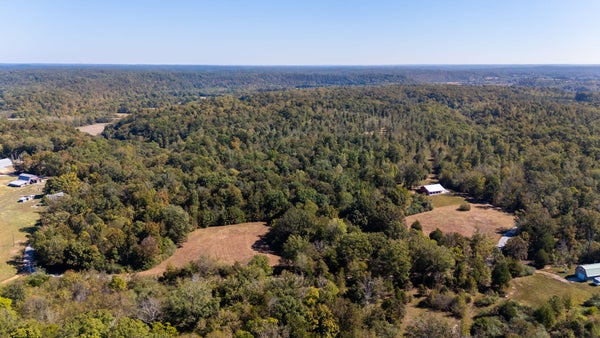 1036 MASON BATES BEND RD, CENTERVILLE, TN 37033 - Image 7991965fbbeb78fbbdfeb0e1abffb044/3585185313