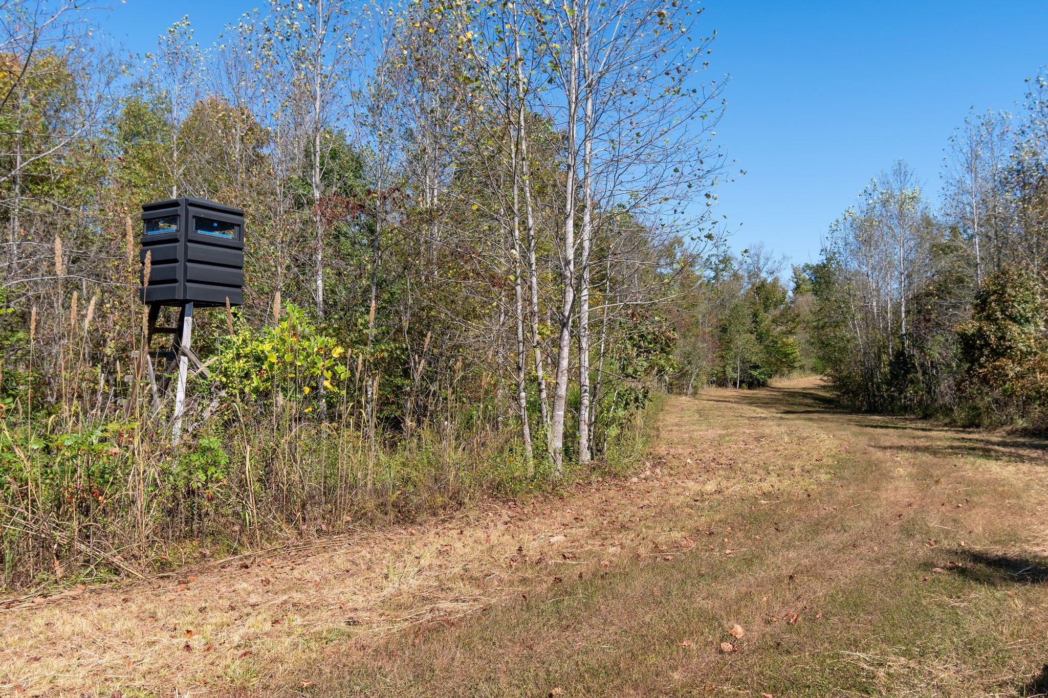 1036 Mason Bates Bend Rd