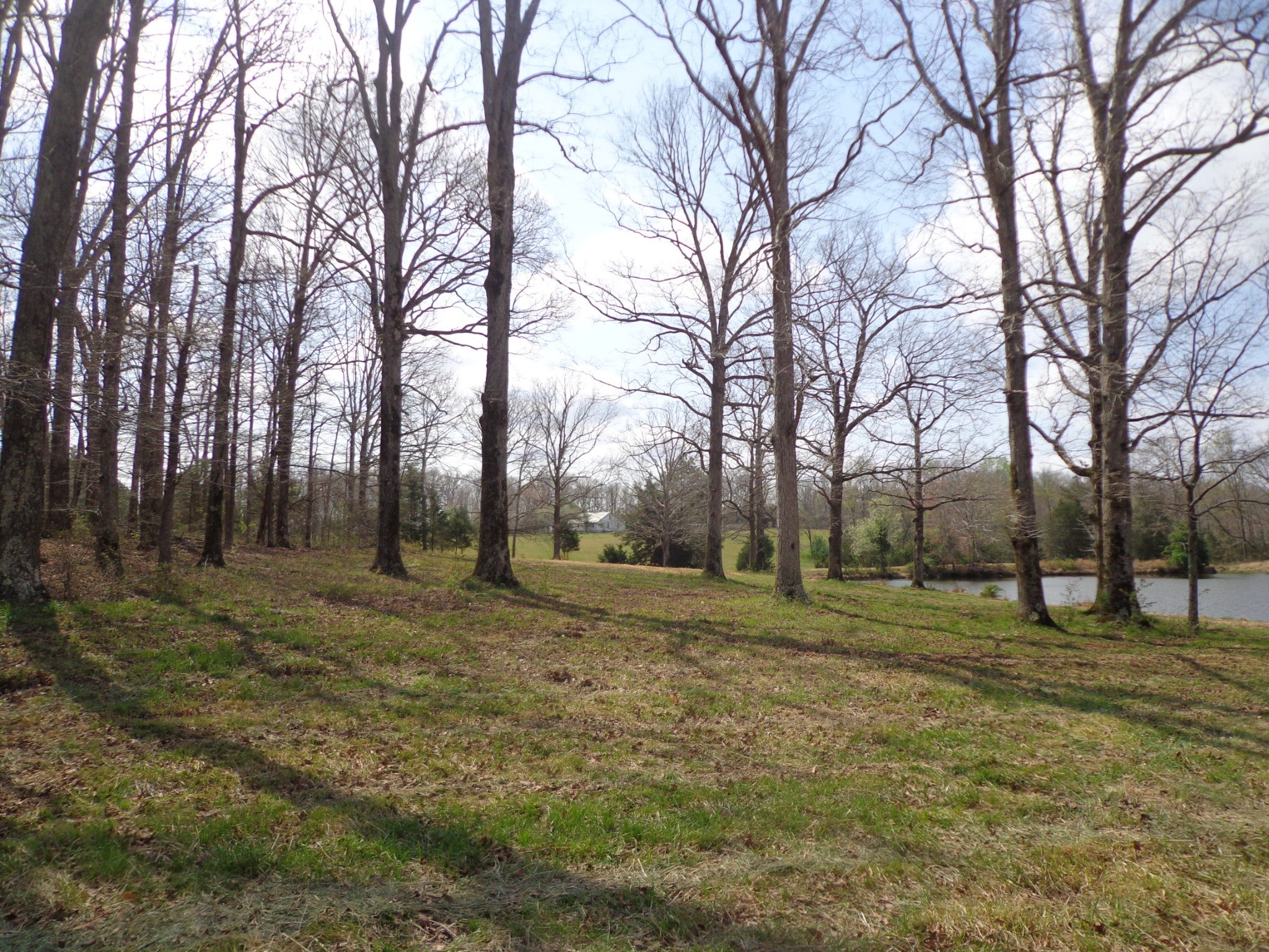 1551 Tennessee Ridge Road