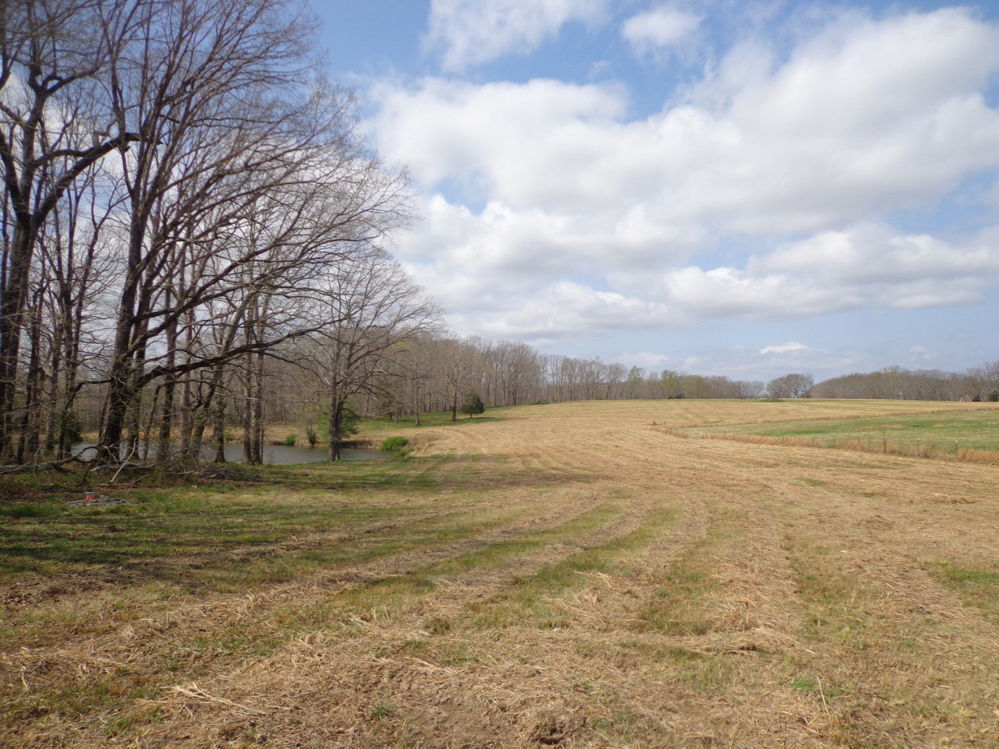 1551 Tennessee Ridge Road