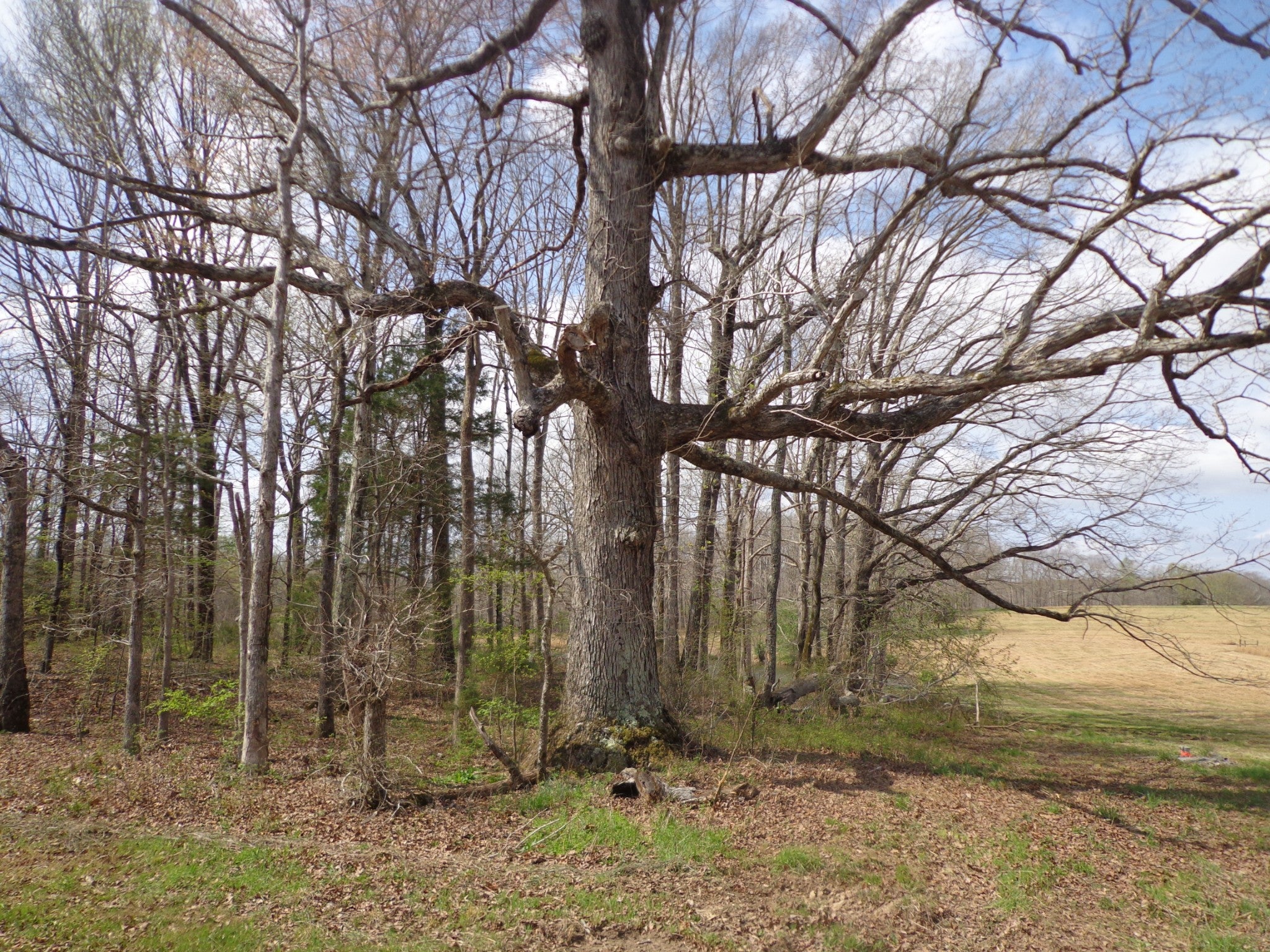 1551 Tennessee Ridge Road
