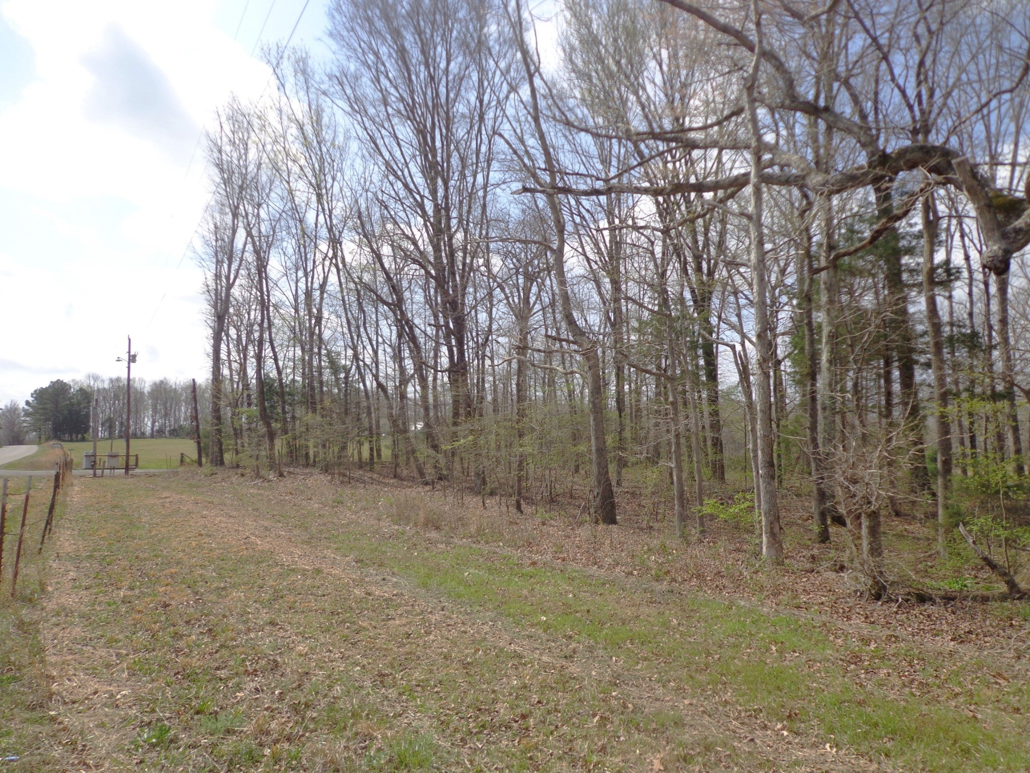 1551 Tennessee Ridge Road