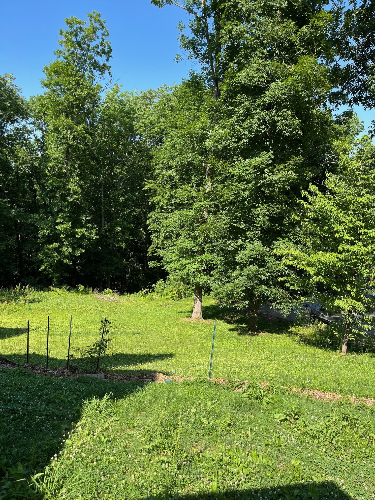933 Bluff Rd