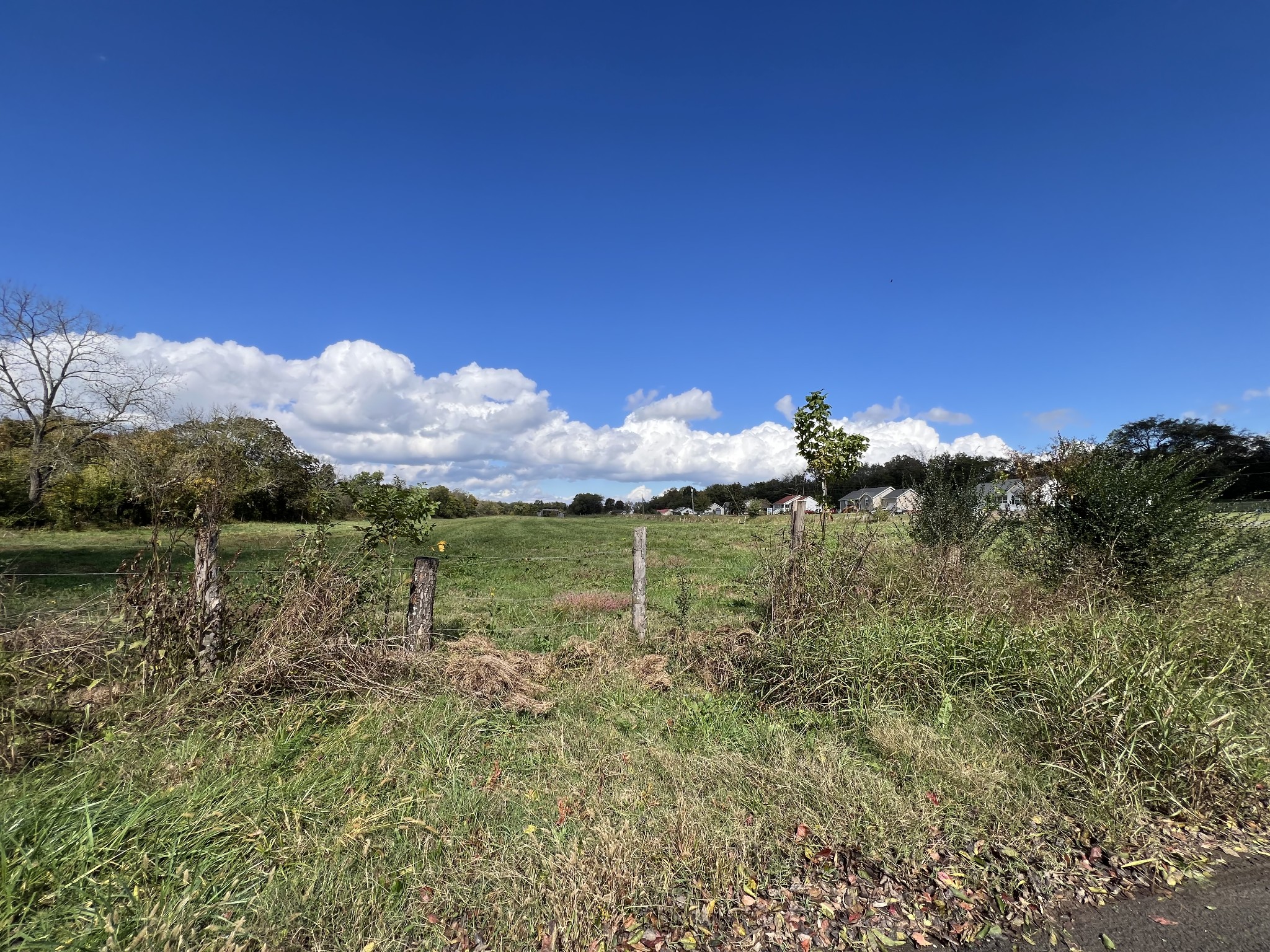 0 Bell Buckle Wartrace Rd