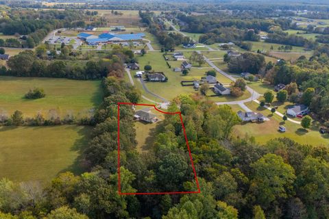 221 McKenzie Ln Summertown TN 38483