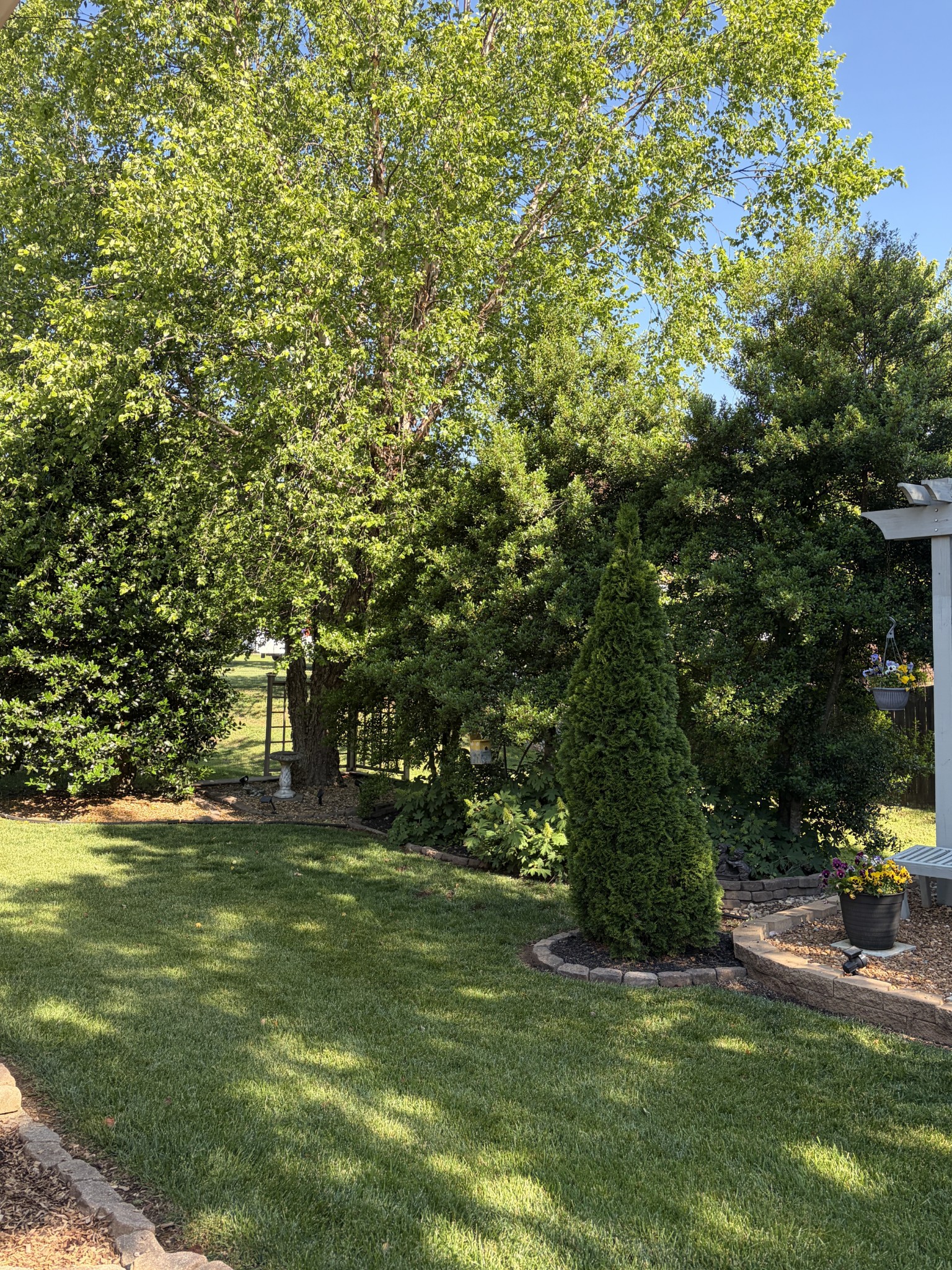 409 Savannah Rdg