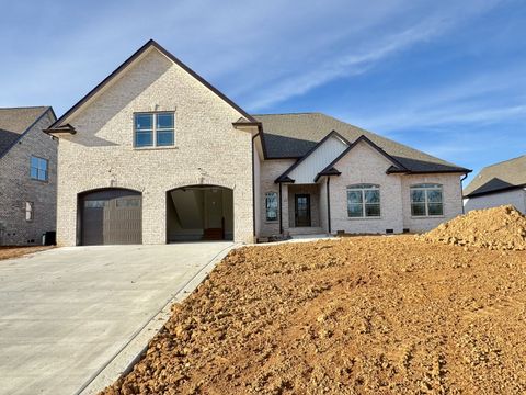 390 Young Ln Pleasant View TN 37146