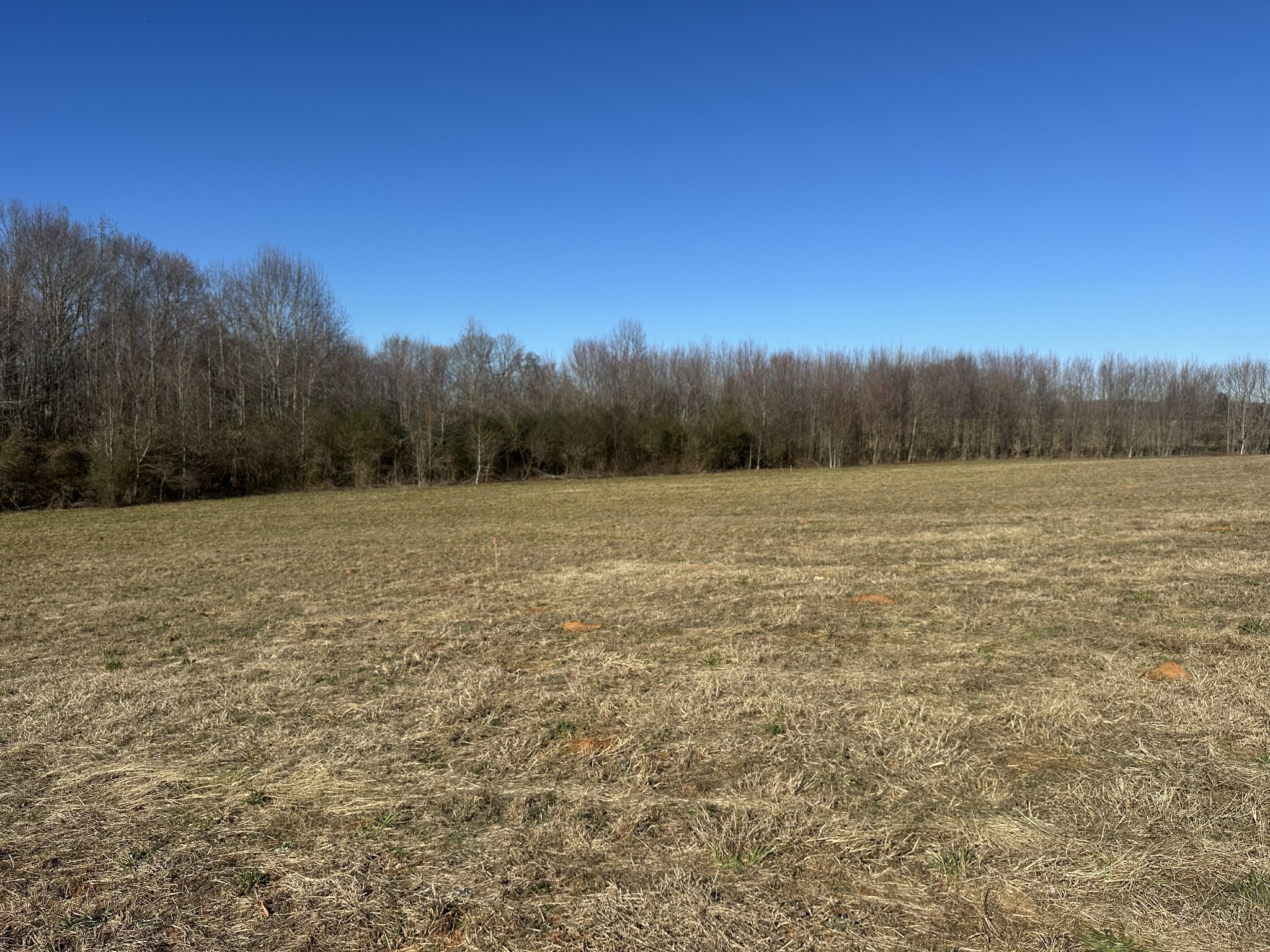 0 Gum Springs Mountain Rd