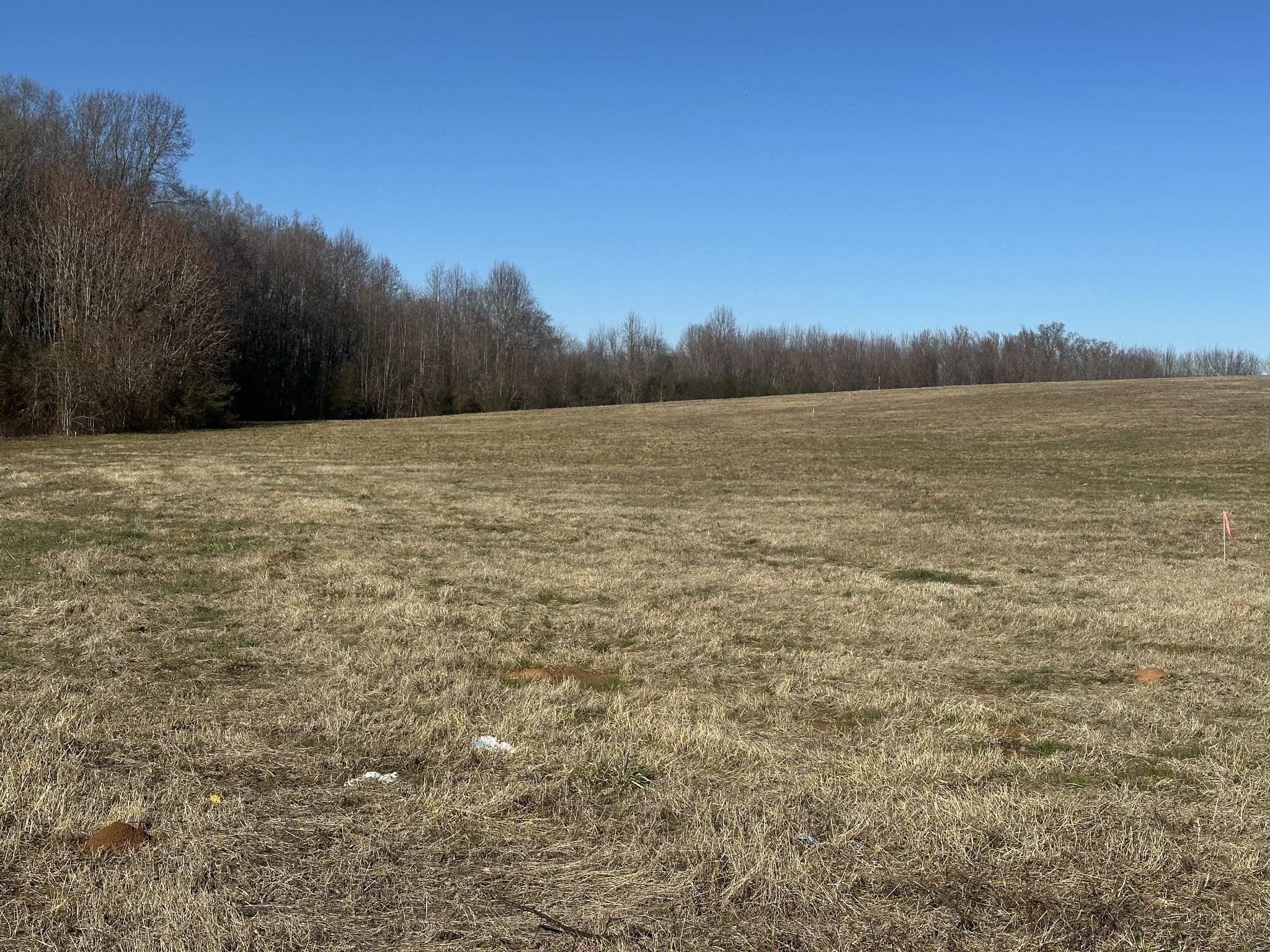 0 Gum Springs Mountain Rd