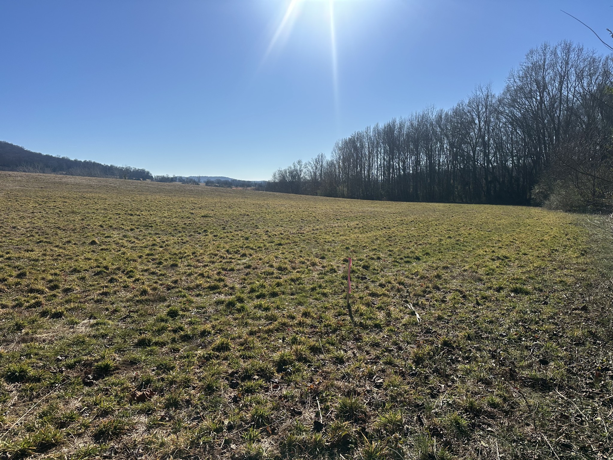 0 Gum Springs Mountain Rd