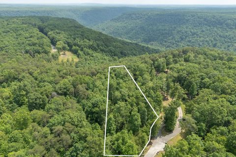 146A Falls Lane Spencer TN 38585
