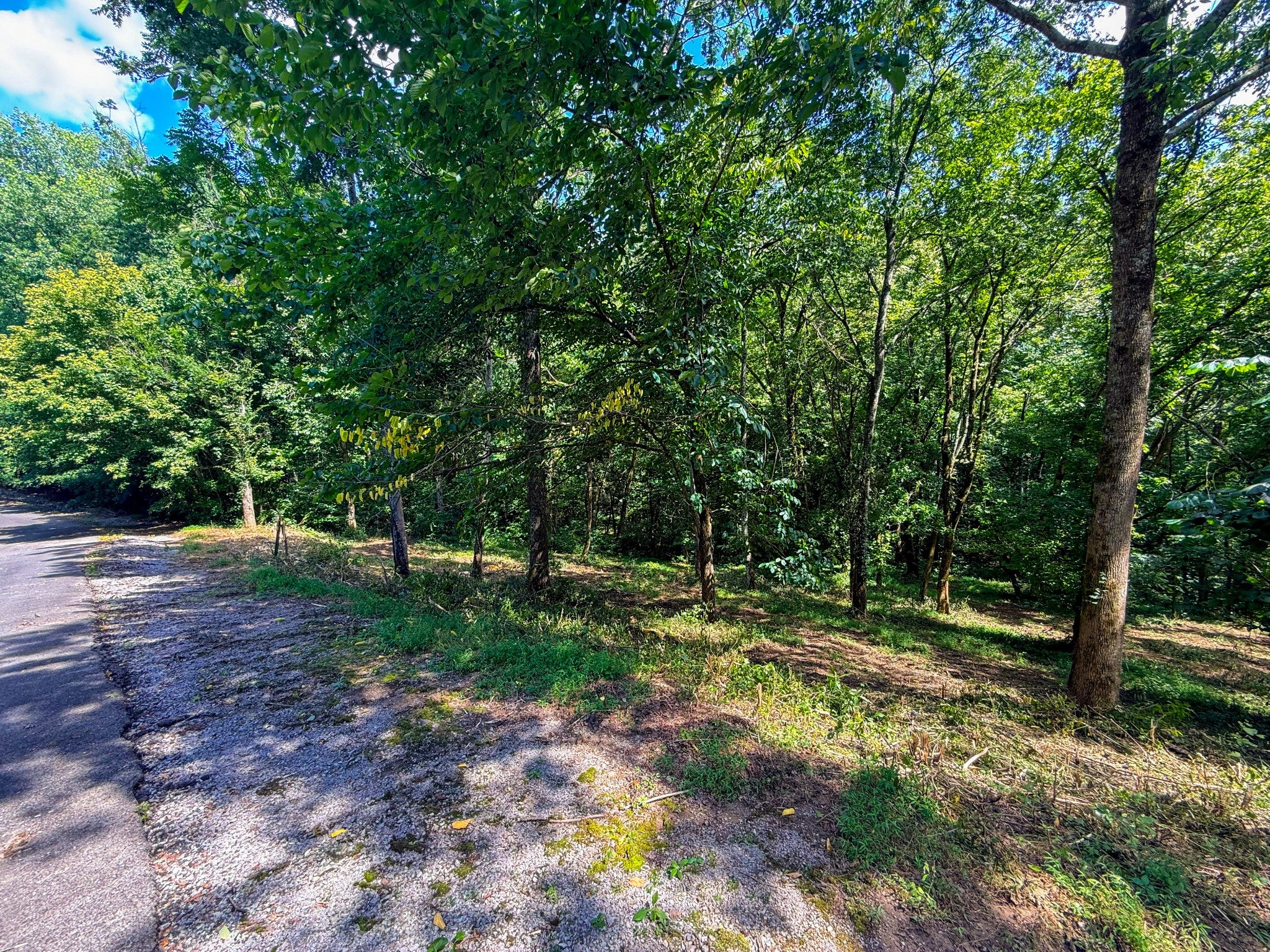 0 Savannah Dr