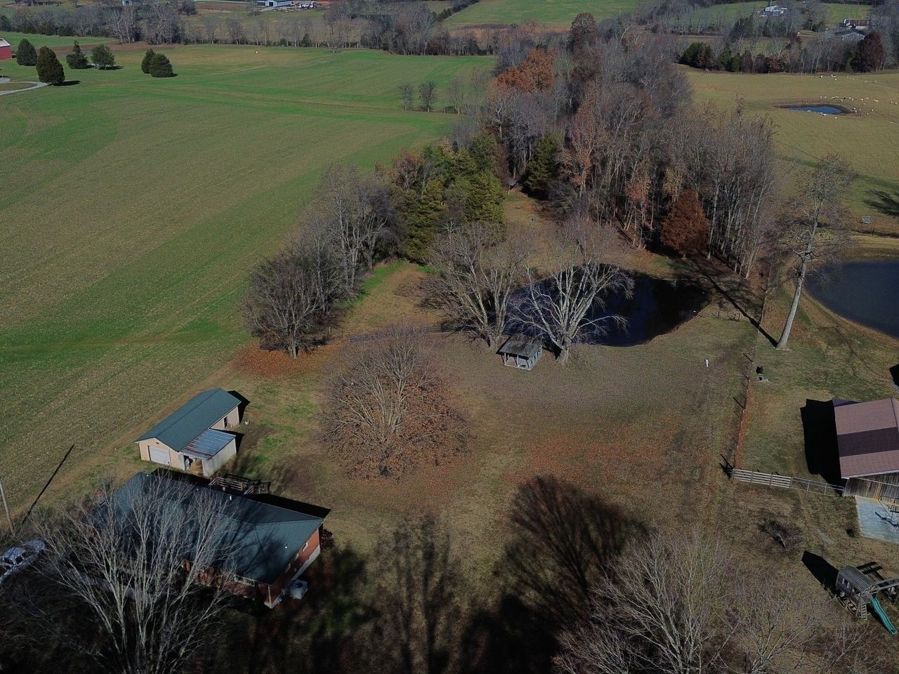 12354 Owens Chapel Rd