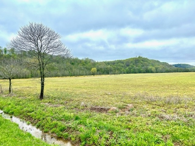 Photo 3 of 17 of 0 Hagan Road land