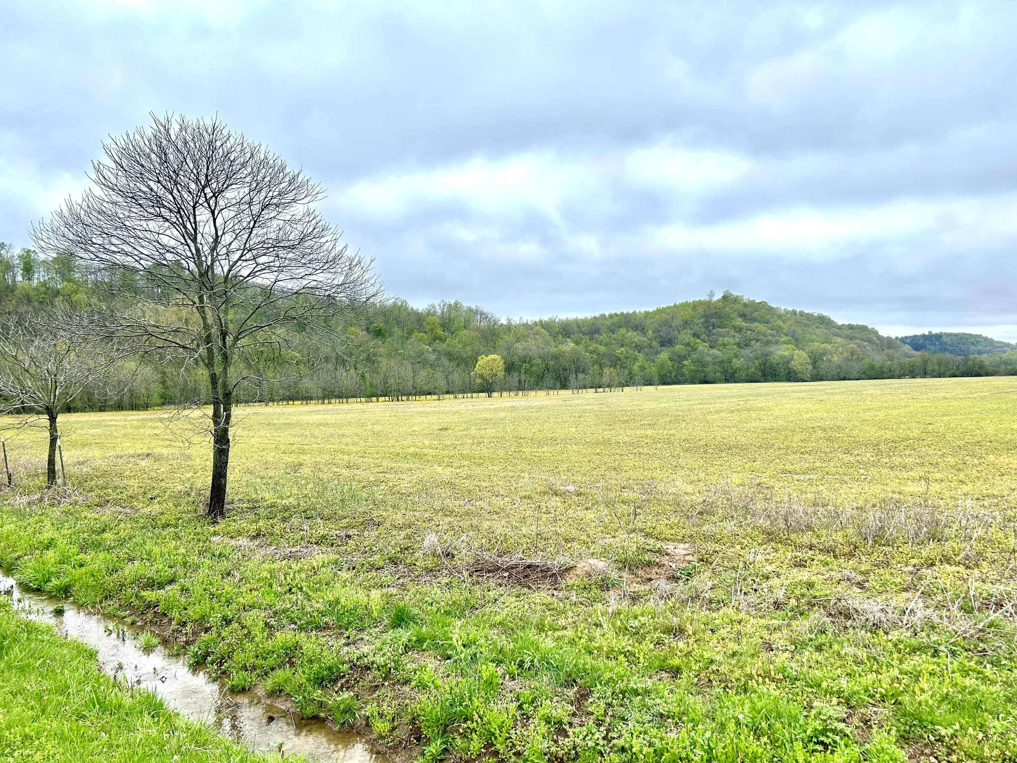 Photo 6 of 17 of 0 Hagan Road land