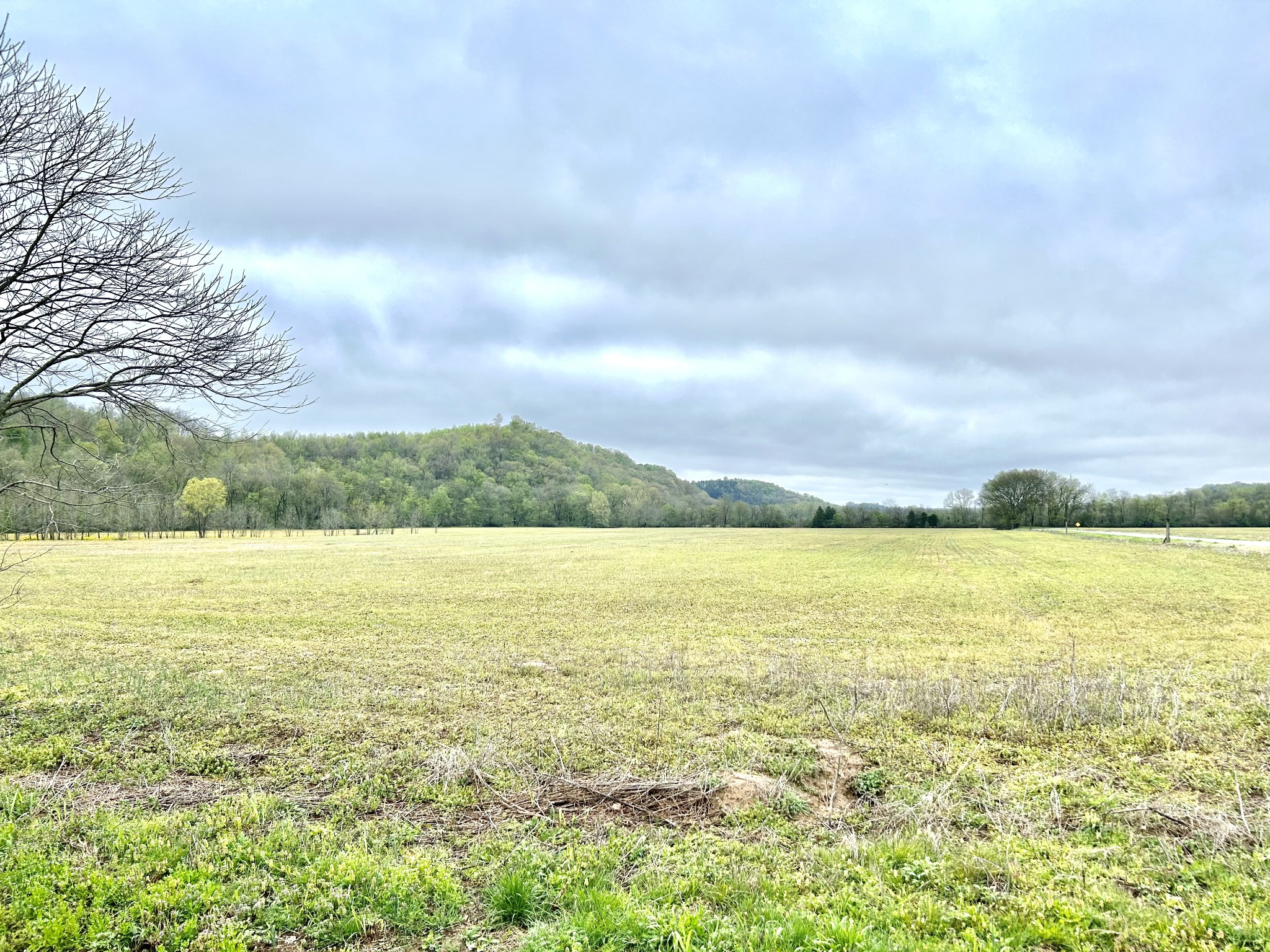 Photo 5 of 17 of 0 Hagan Road land