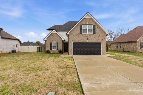 2911 Ronstadt Dr Christiana TN 37037
