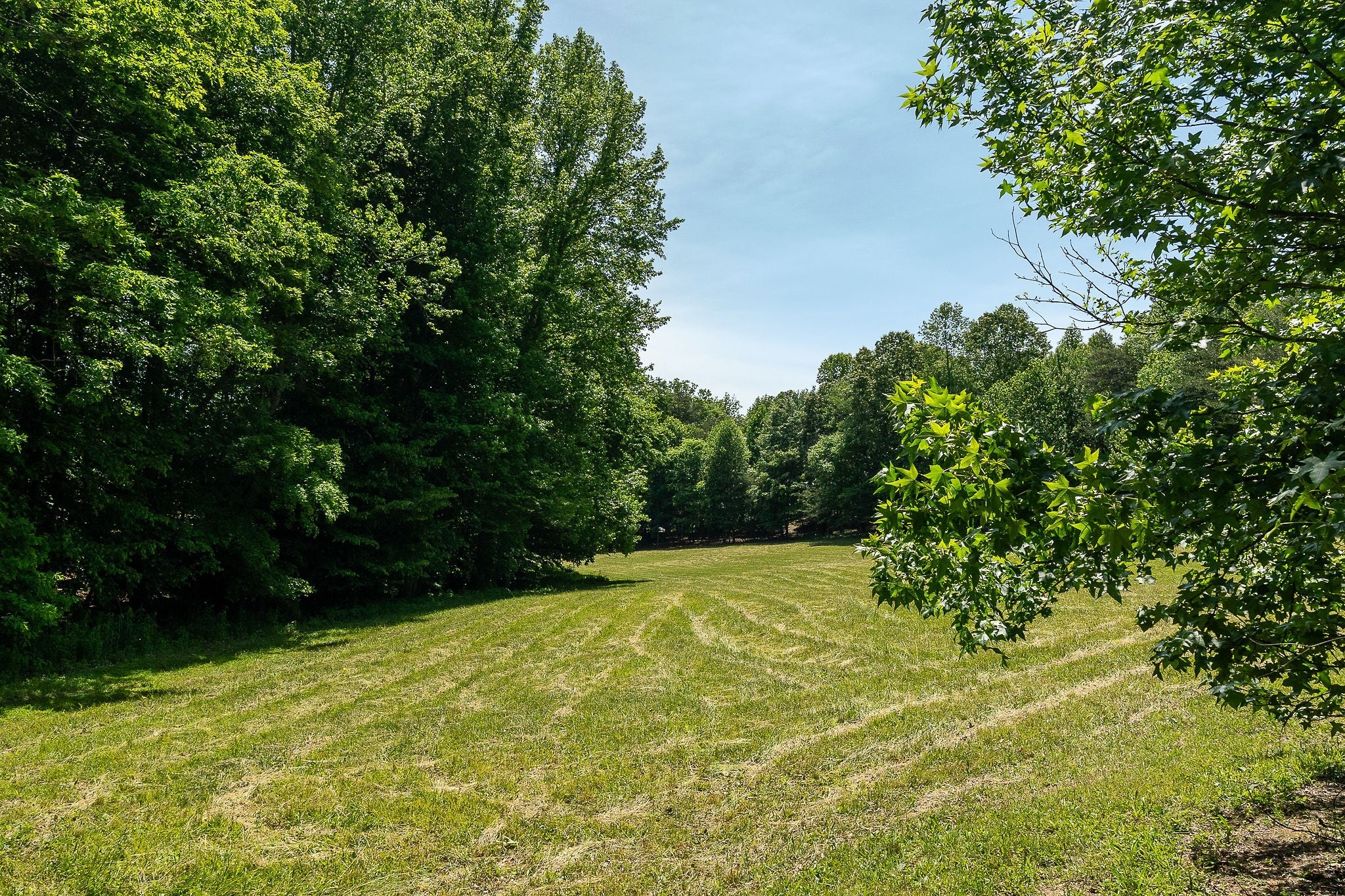 29 Acres Standing Stone Hwy