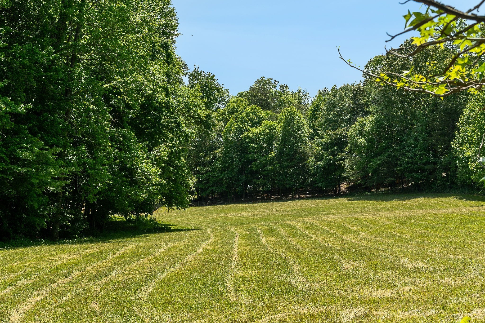 29 Acres Standing Stone Hwy