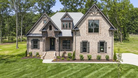 4002 Mandrake Pl #163 Lebanon TN 37087