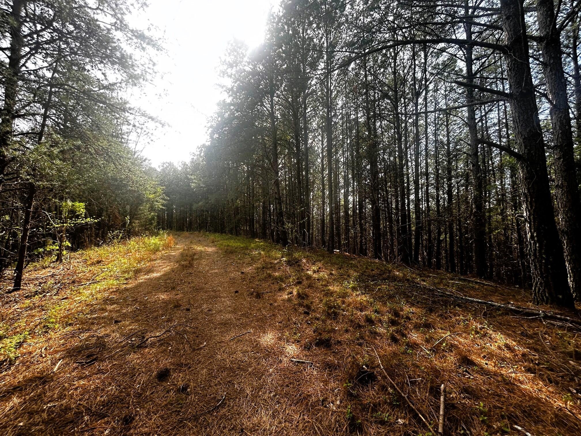 6 Owl Hollow Road SW