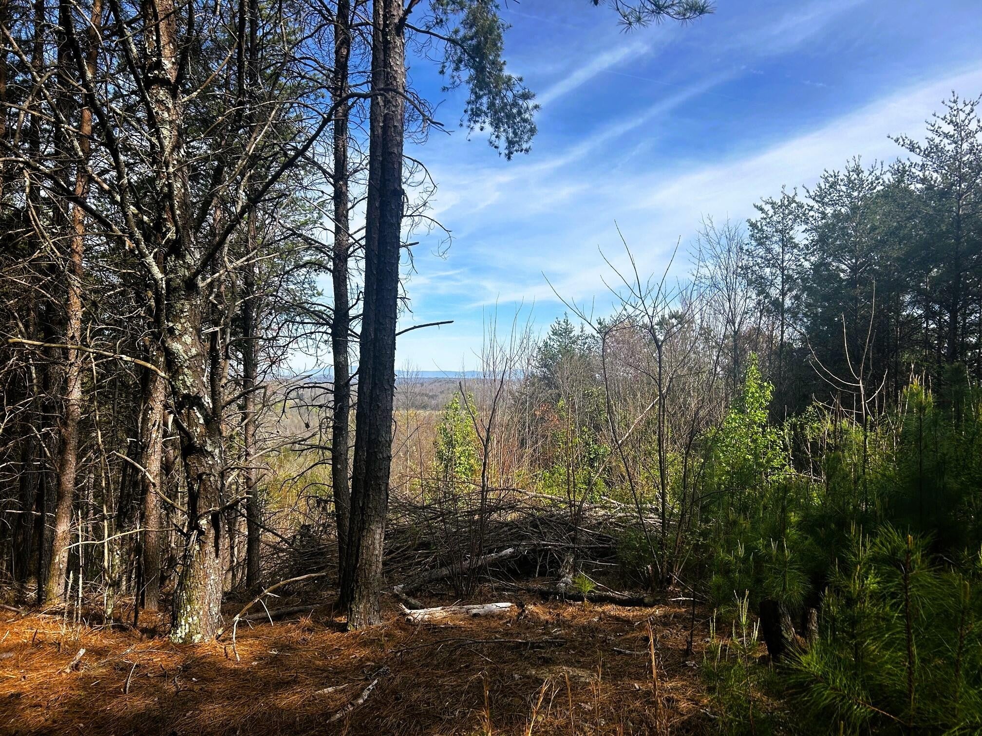 6 Owl Hollow Road SW