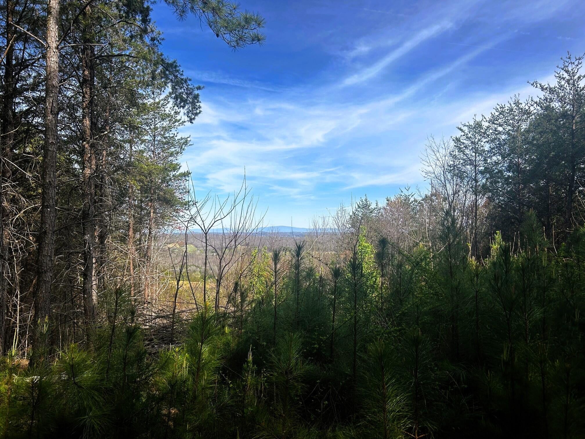 6 Owl Hollow Road SW