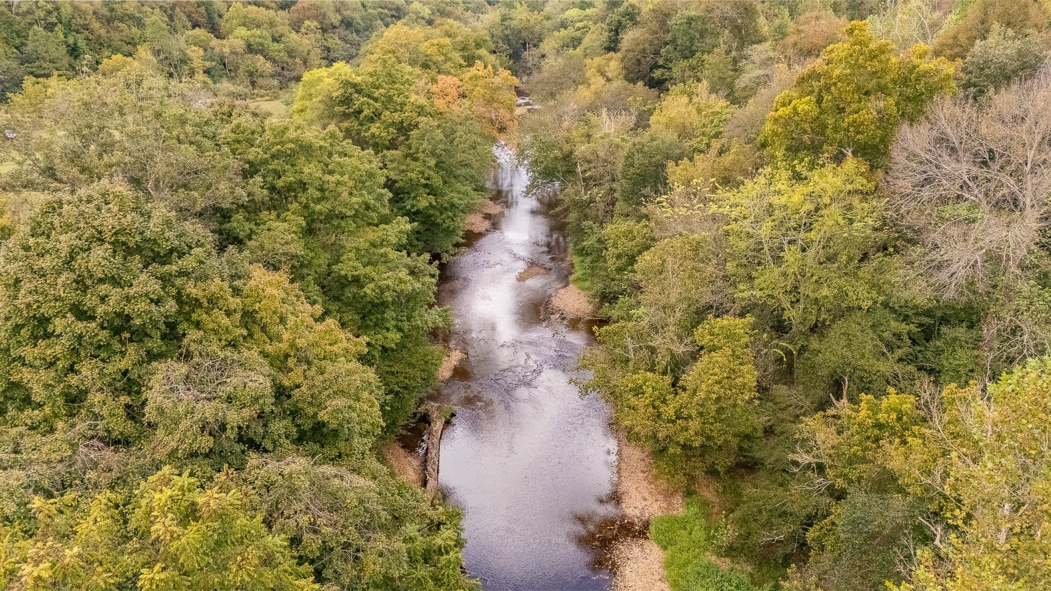 0 Chisholm Creek Rd