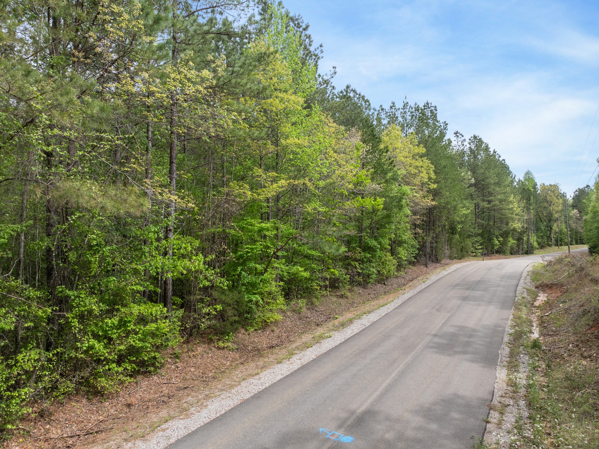 0 Curtis Hill Church Rd